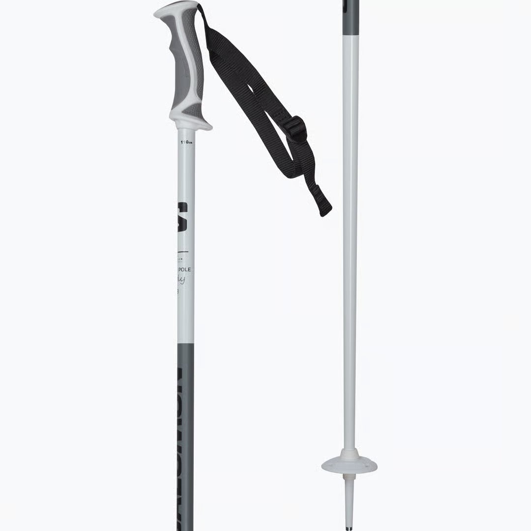 Poles X North S3 Dame Skistave