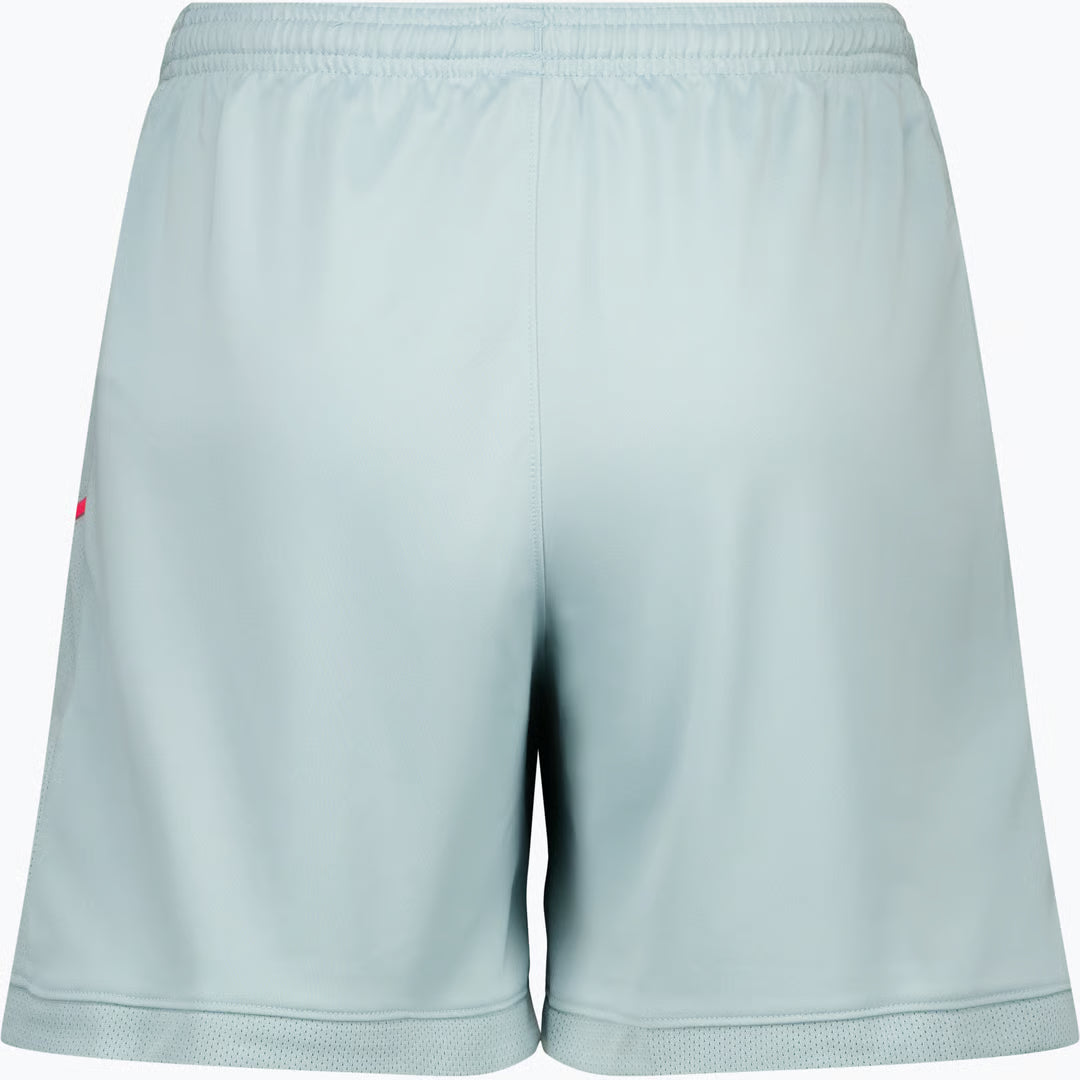 Academy 25 Dri-Fit Trænings Shorts
