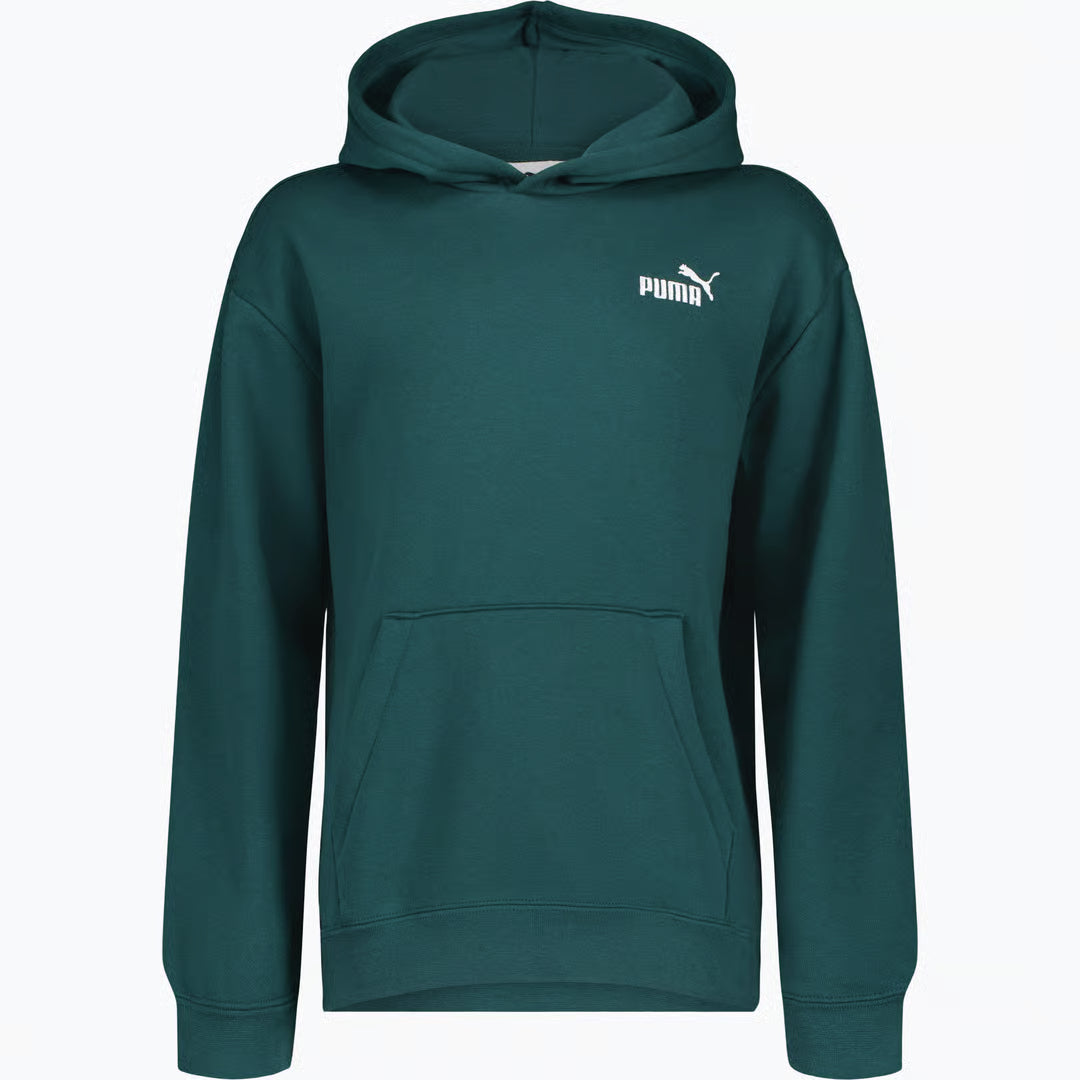 Small Logo Relaxed Hættetrøje