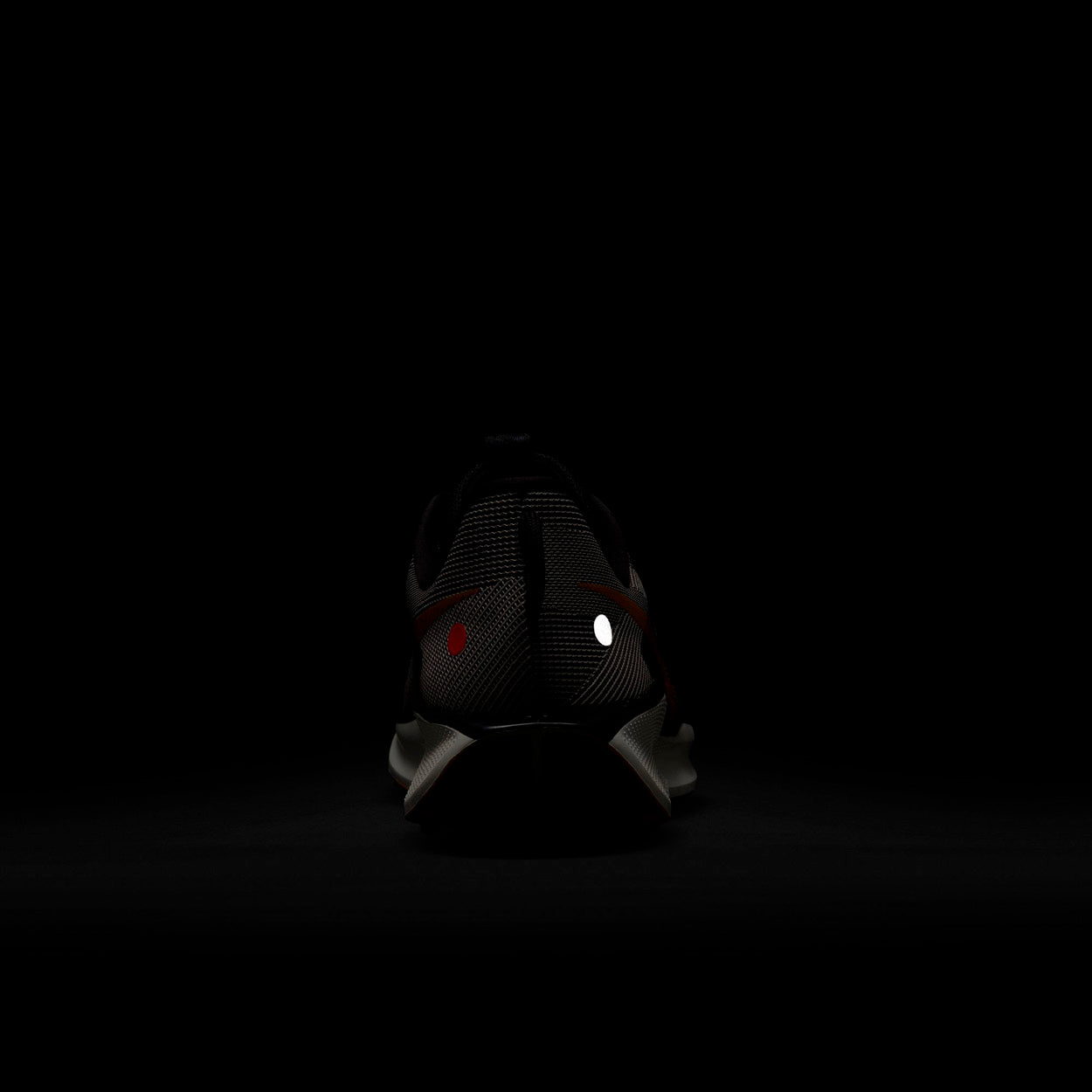 React X Pegasus Trail 5 Løbesko