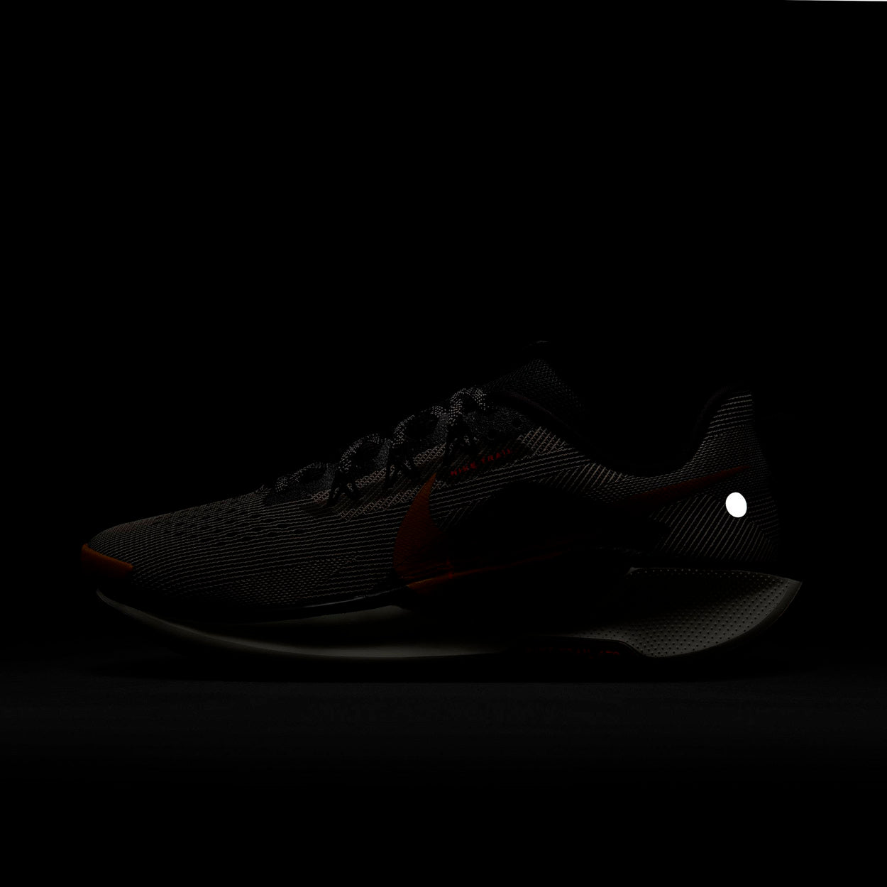 React X Pegasus Trail 5 Løbesko