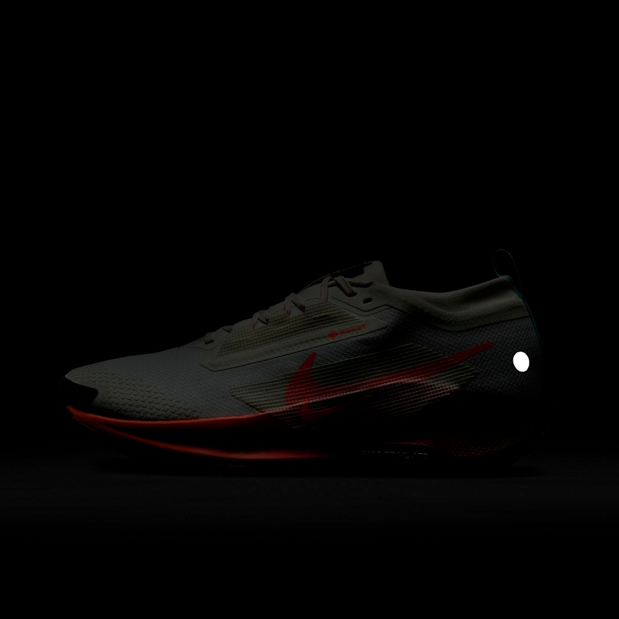 Pegasus Trail 5 GORE-TEX Trail løbsko