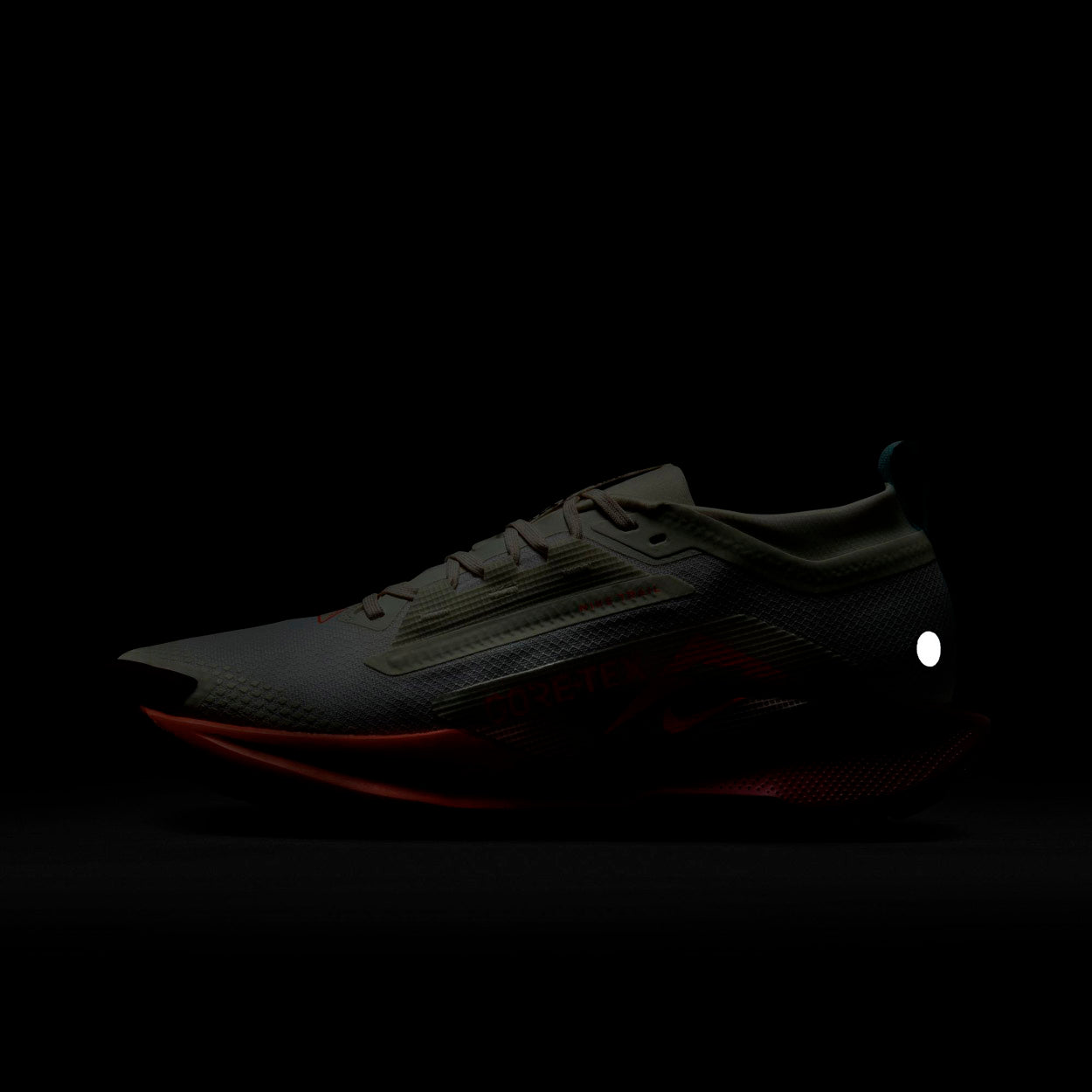 Pegasus Trail 5 GORE-TEX Trail løbsko