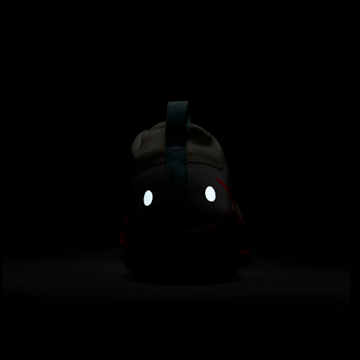 Pegasus Trail 5 Gore-tex Trail Løbesko