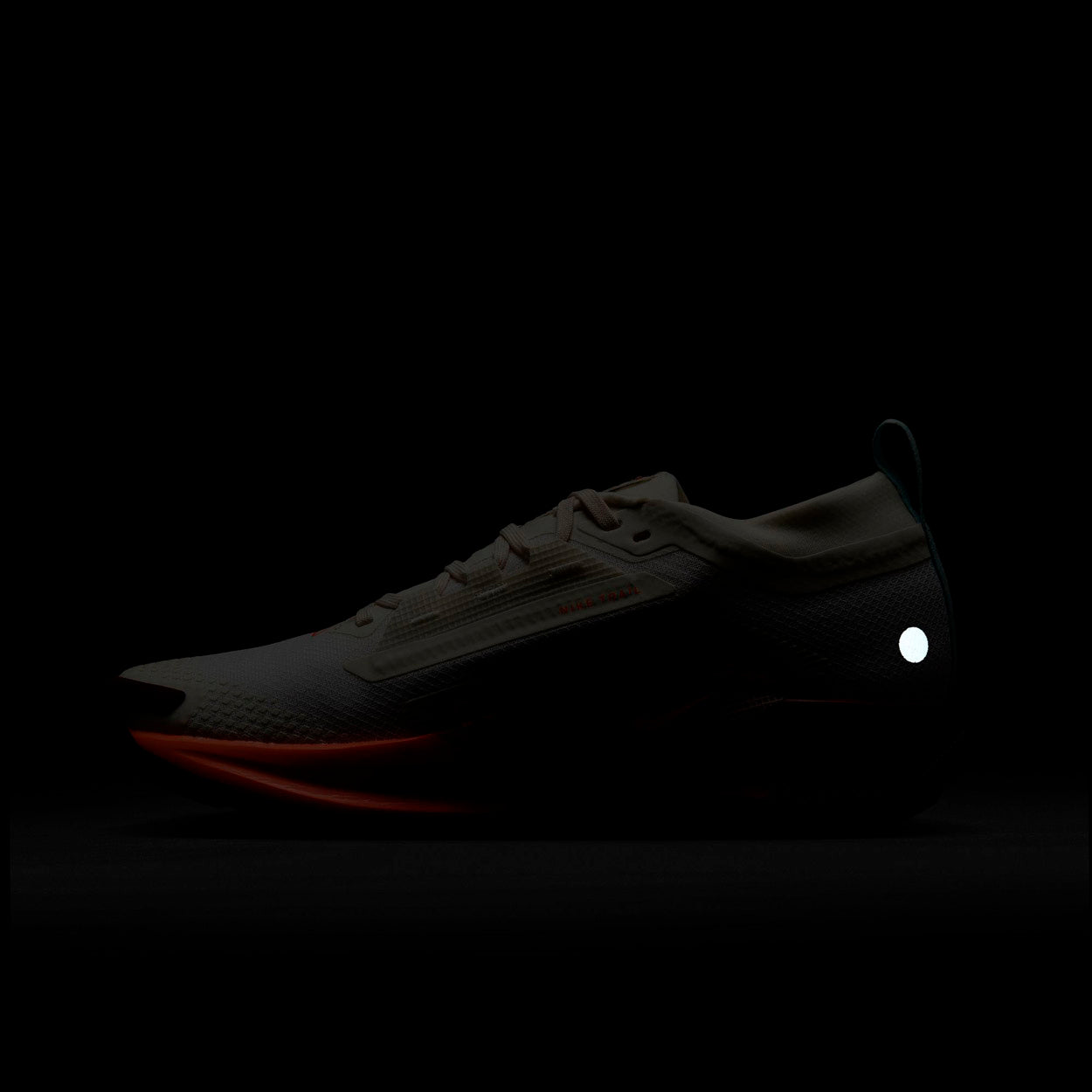 Pegasus Trail 5 Gore-tex Trail Løbesko