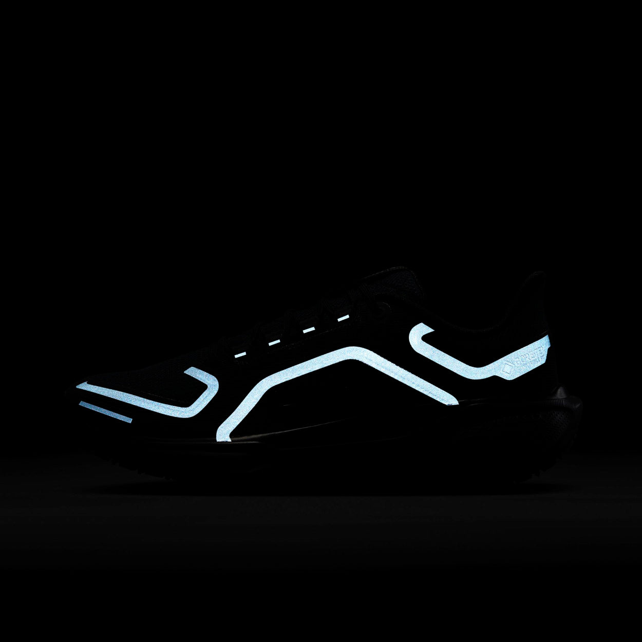 Pegasus 41 Gore-tex Løbesko