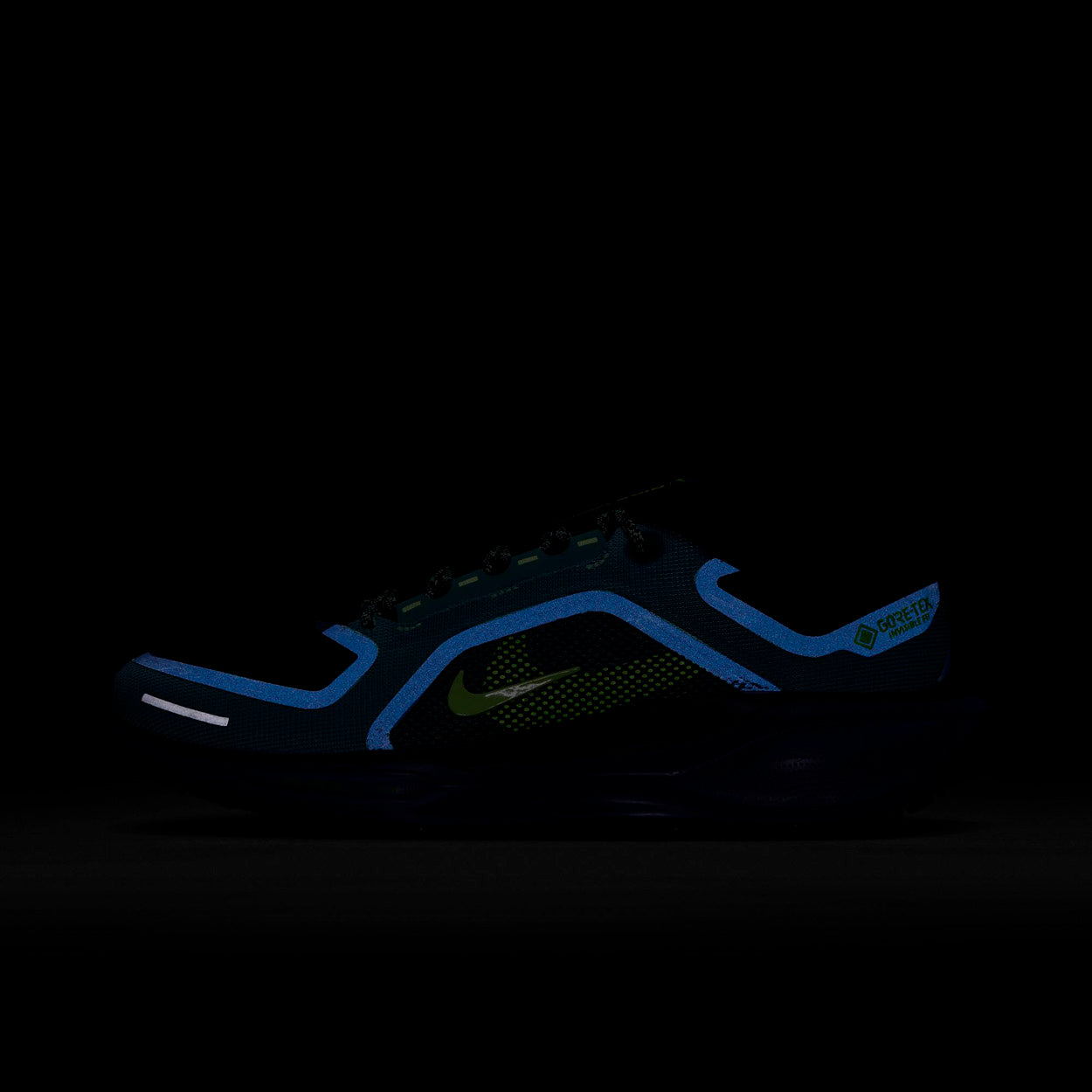 Pegasus 41 Gore-tex Løbesko