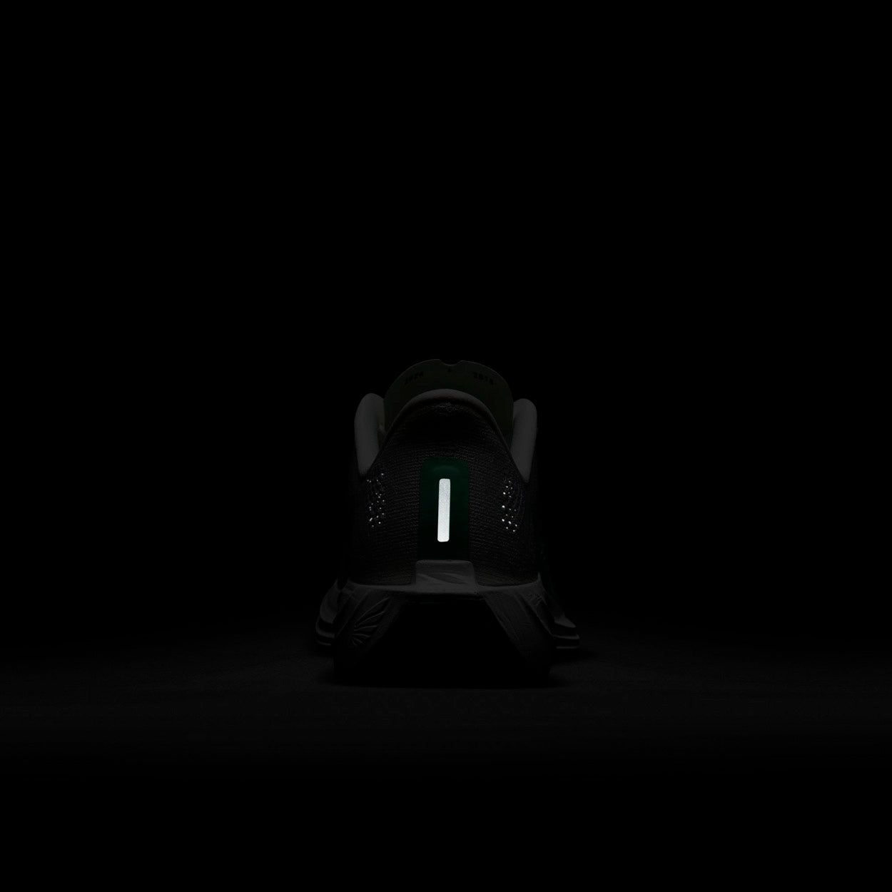 Pegasus Plus Løbesko