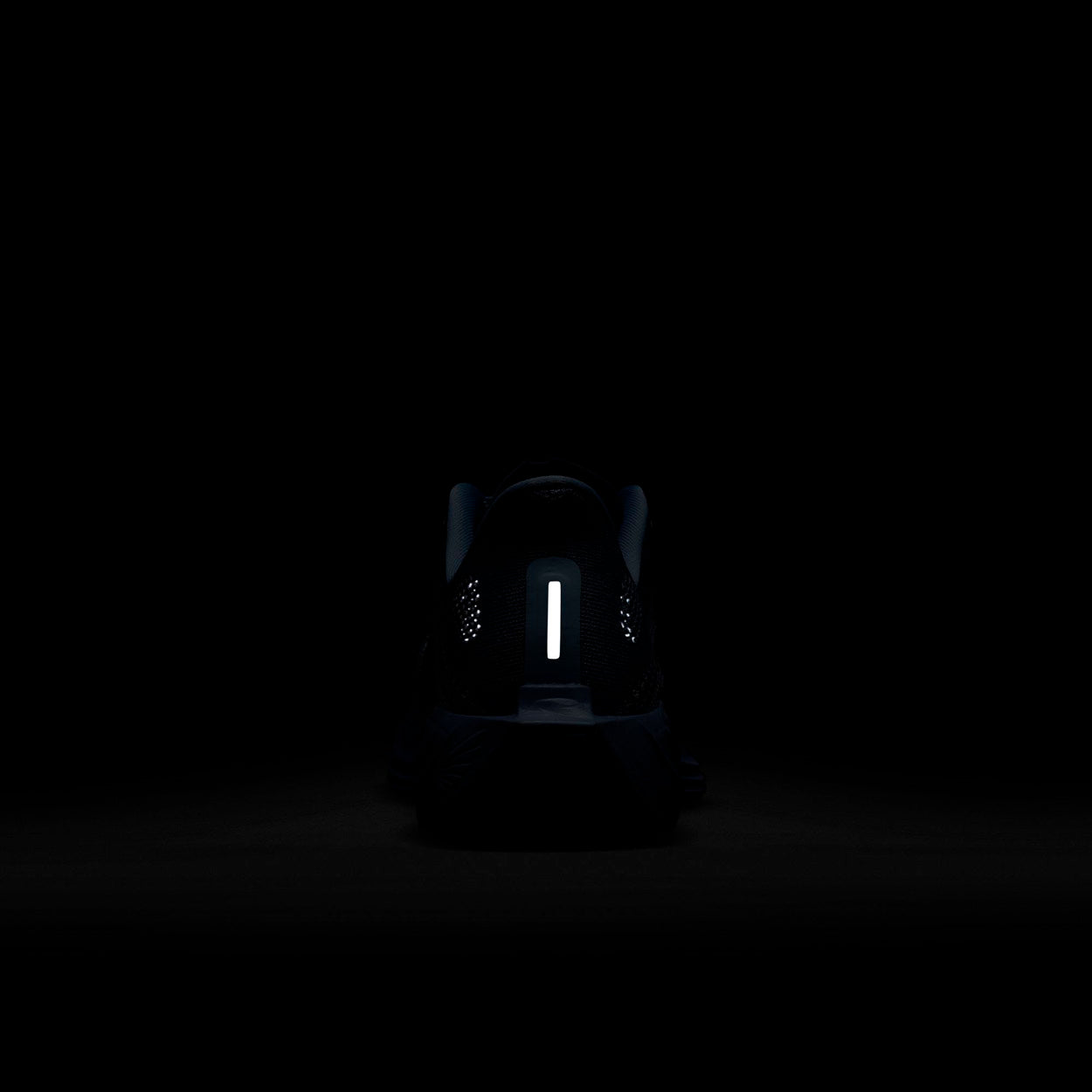 Pegasus Plus Løbesko