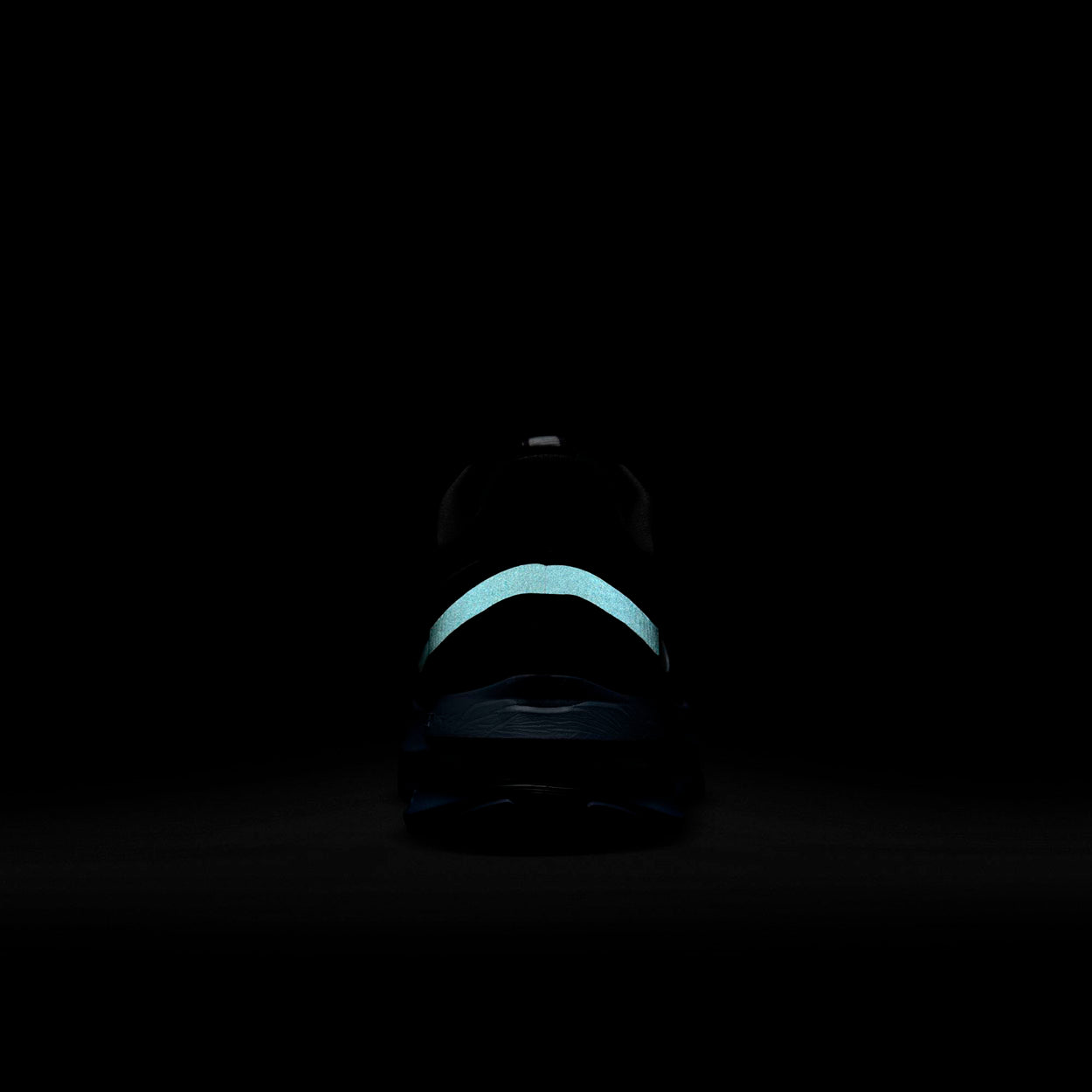 Pegasus Premium Løbesko