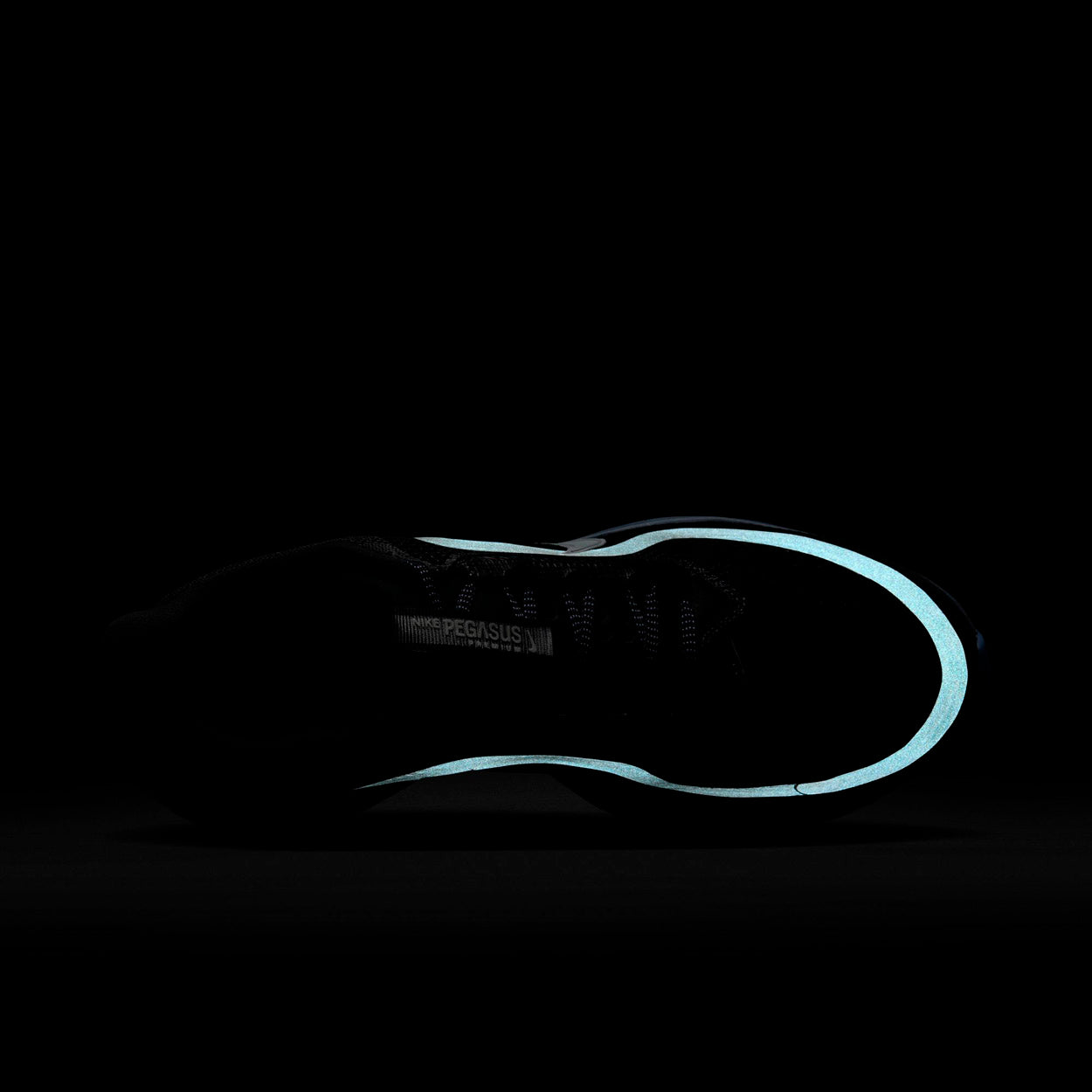 Pegasus Premium Løbesko