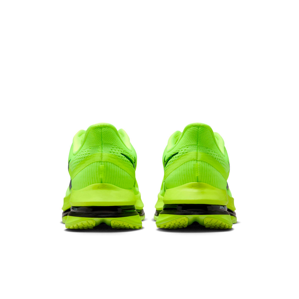 Pegasus Premium Løbesko