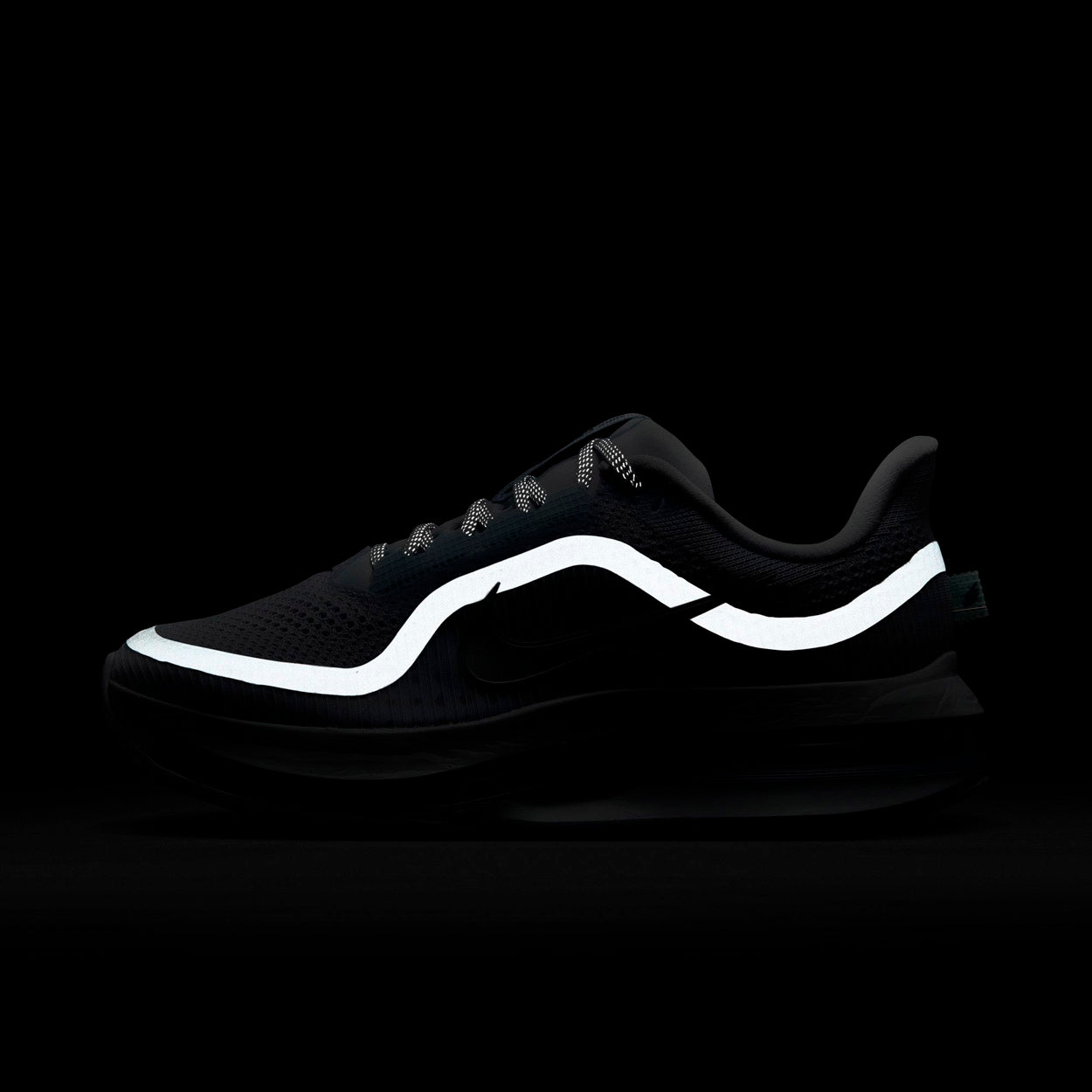 Pegasus Premier Løbesko