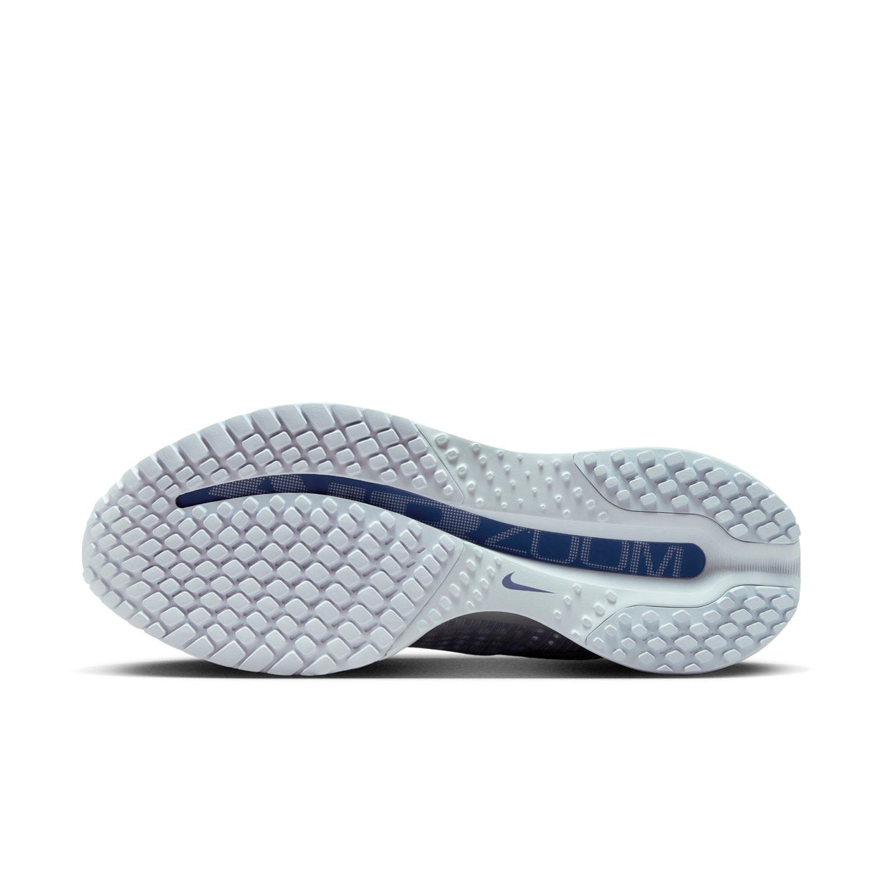 Pegasus Premier Løbesko