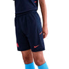 Erling Haaland Academy 25 Shorts fra Nike