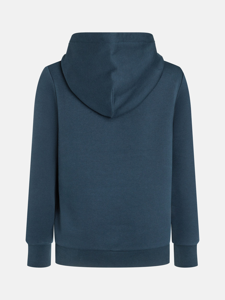 Big Logo Hættetrøje