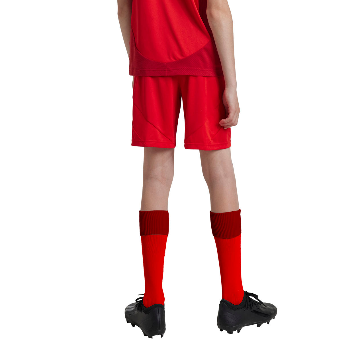 FC Bayern München 24/25 Hjemmebane Shorts