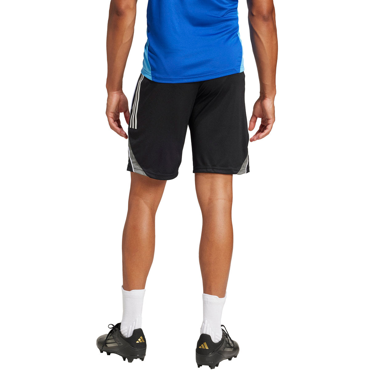TIRO25C TR SHORTS