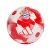 FC Bayern München Minibold