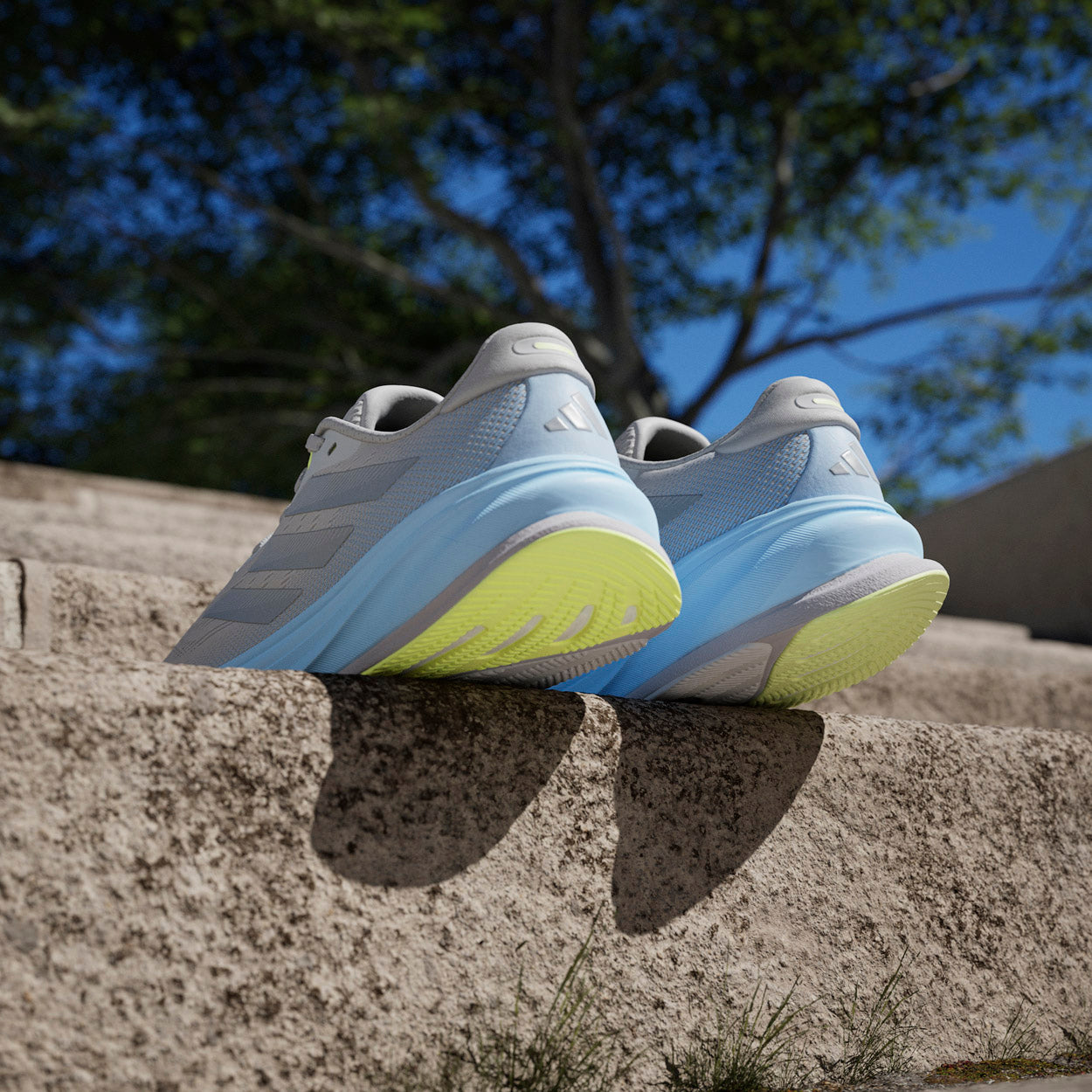 SUPERNOVA RISE 2 Løbesko