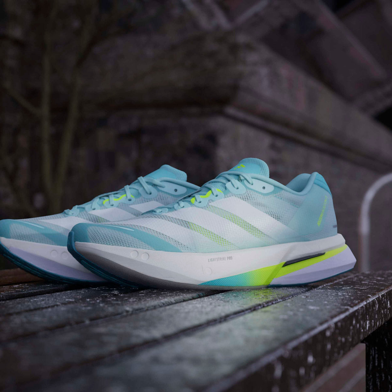 Adizero Boston 13 Løbesko