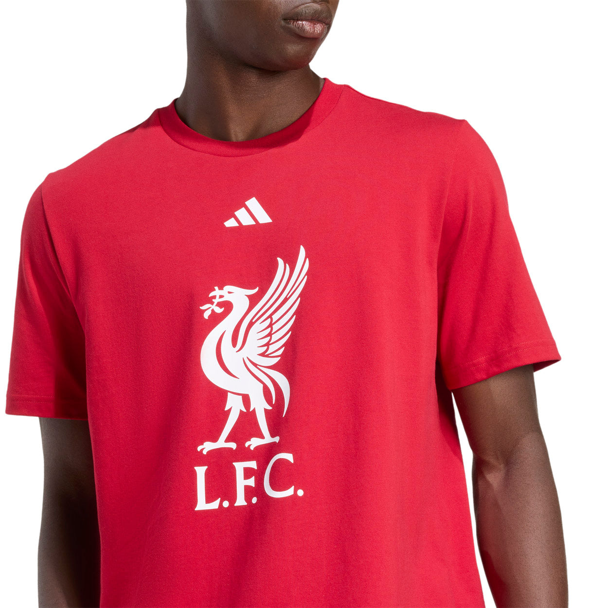 Liverpool DNA T-shirt
