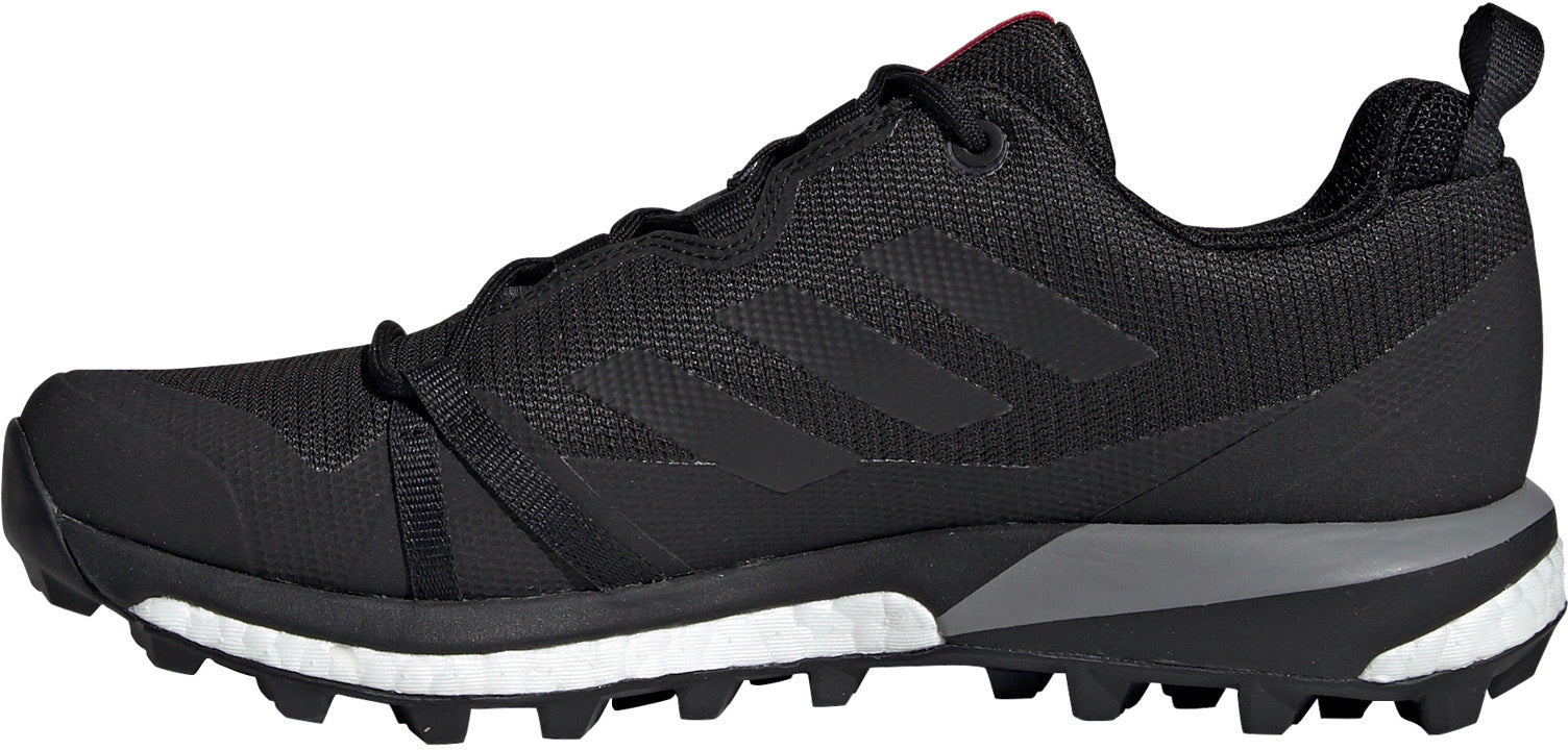 Terrex Skychaser LT GTX