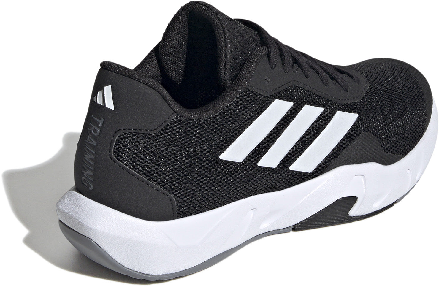 Amplimove Trainer Træningssko