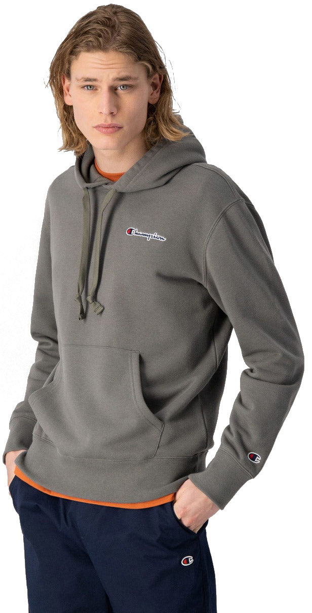 Small Script Logo Heavy Cotton hættetrøje