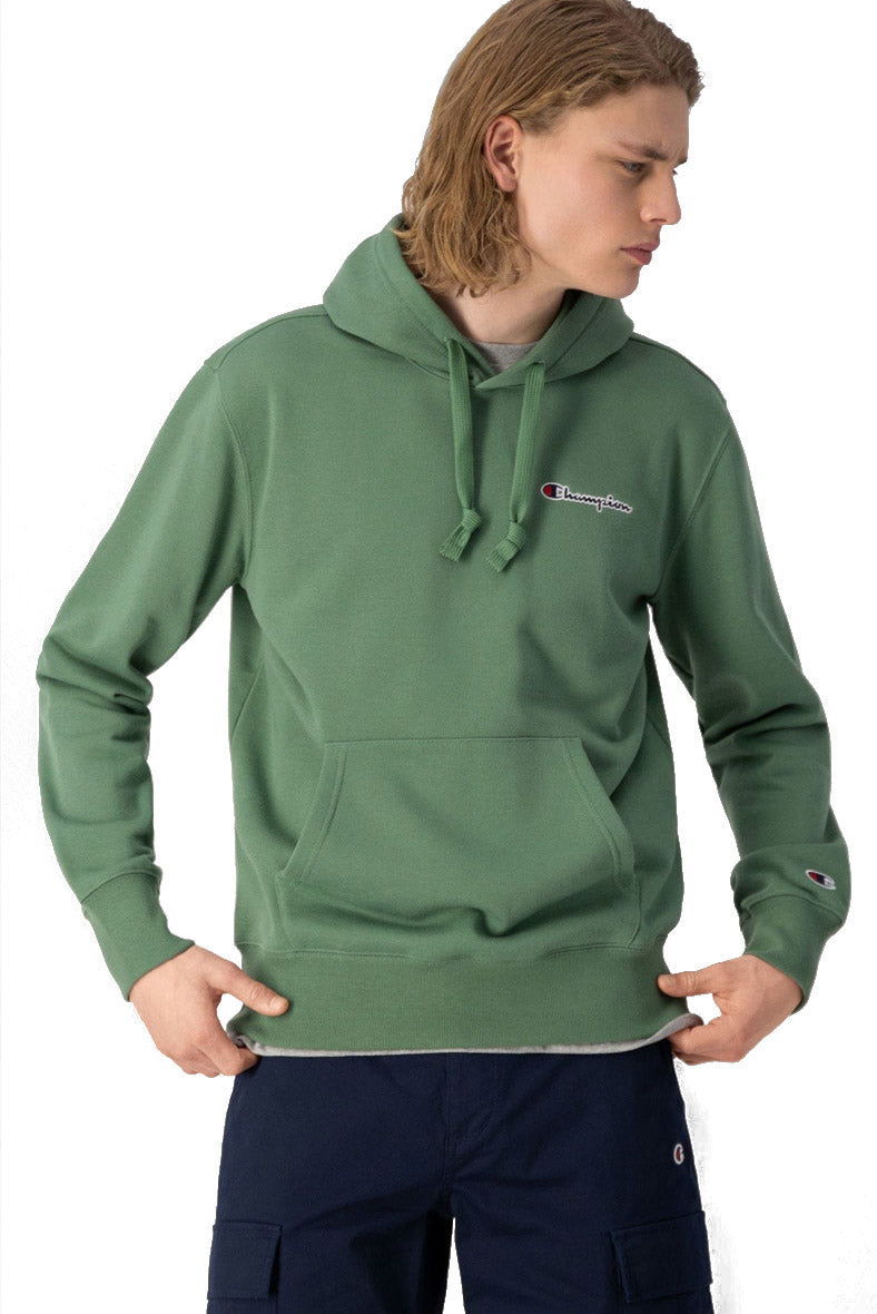 Small Script Logo Heavy Cotton hættetrøje