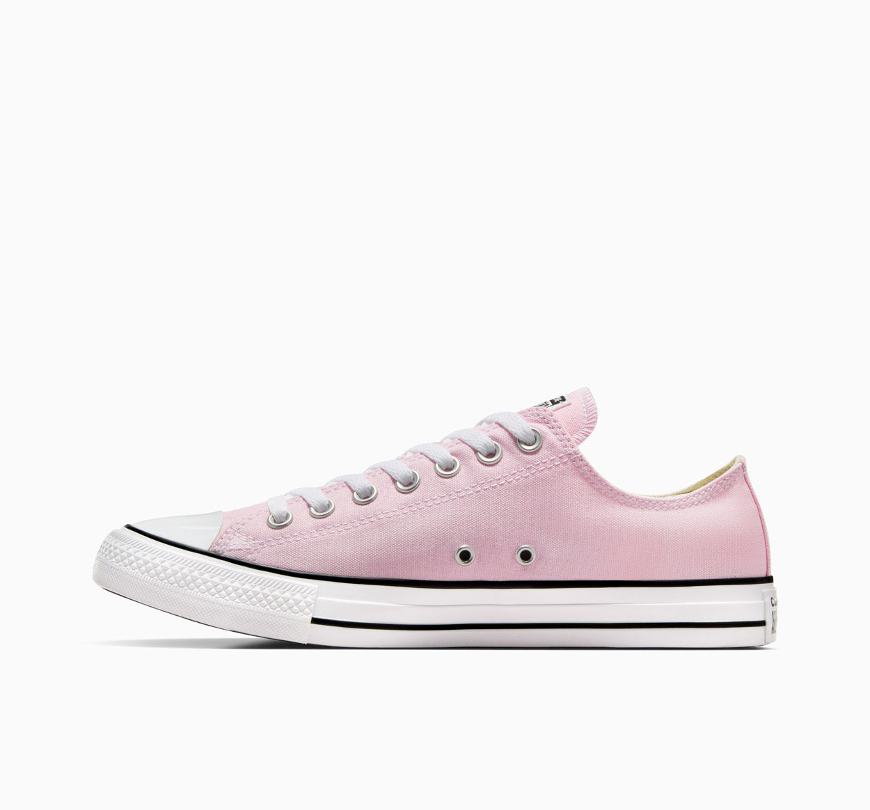 All Star Canvas Sneakers