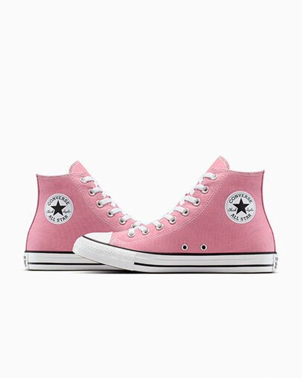 CTAS HI CLIFFSIDE ROSE