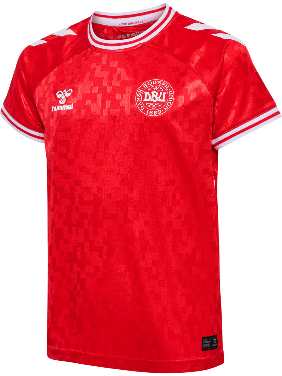DBU Danmark 24 Hjemmebanetrøje Børn
