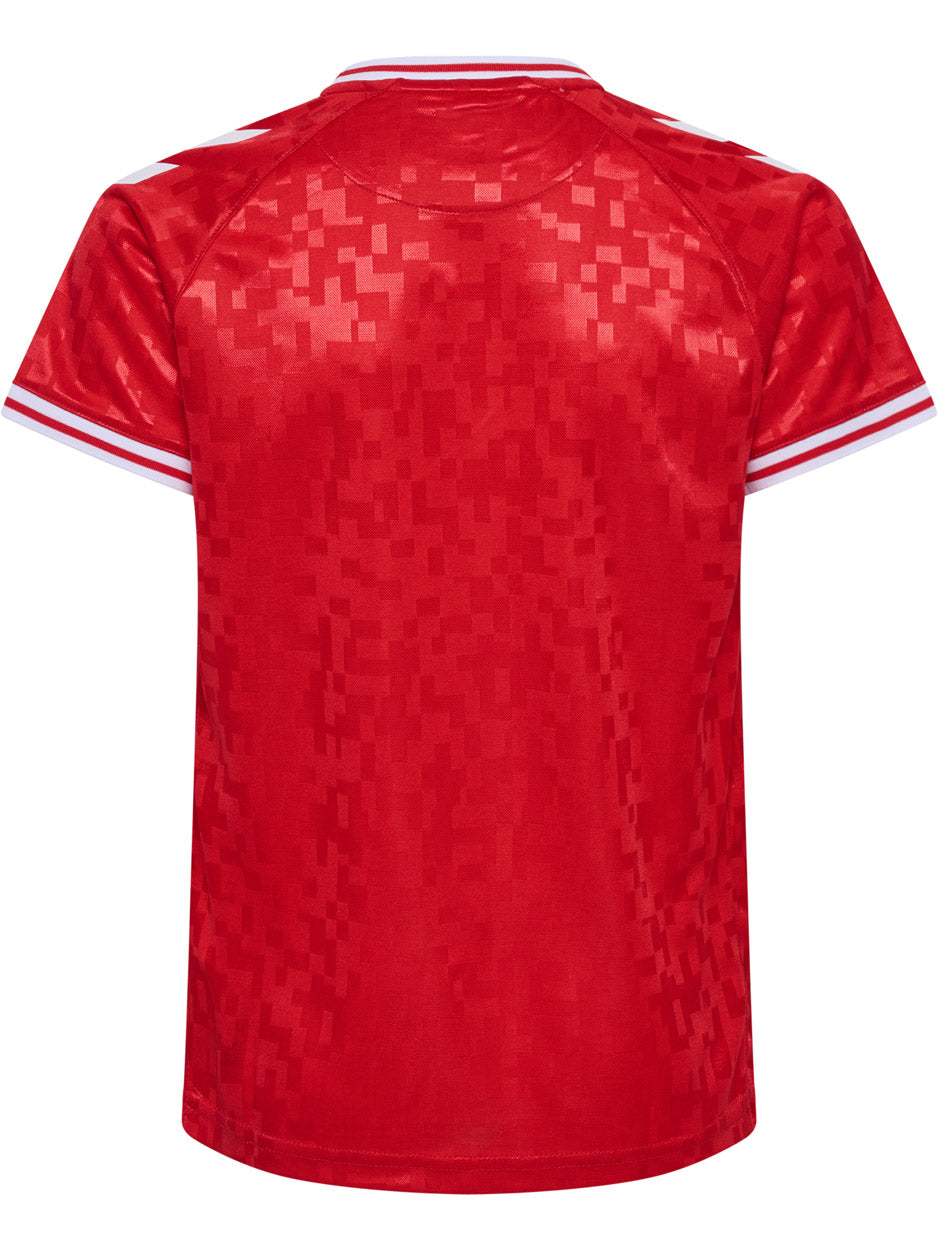 DBU Danmark 24 Hjemmebanetrøje Børn