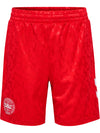 DBU Danmark 24 Udebaneshorts fra Hummel