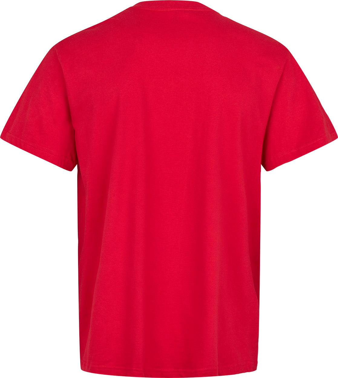 Danmark Fantrøje Voksen