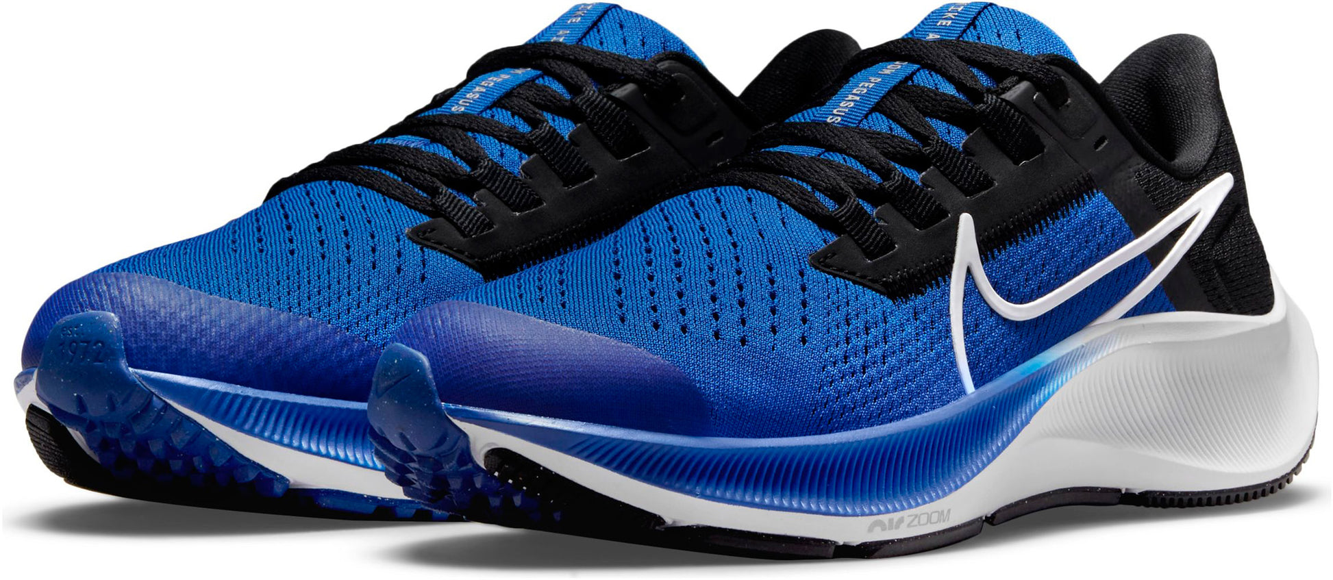 Air Zoom Pegasus 38 Løbesko