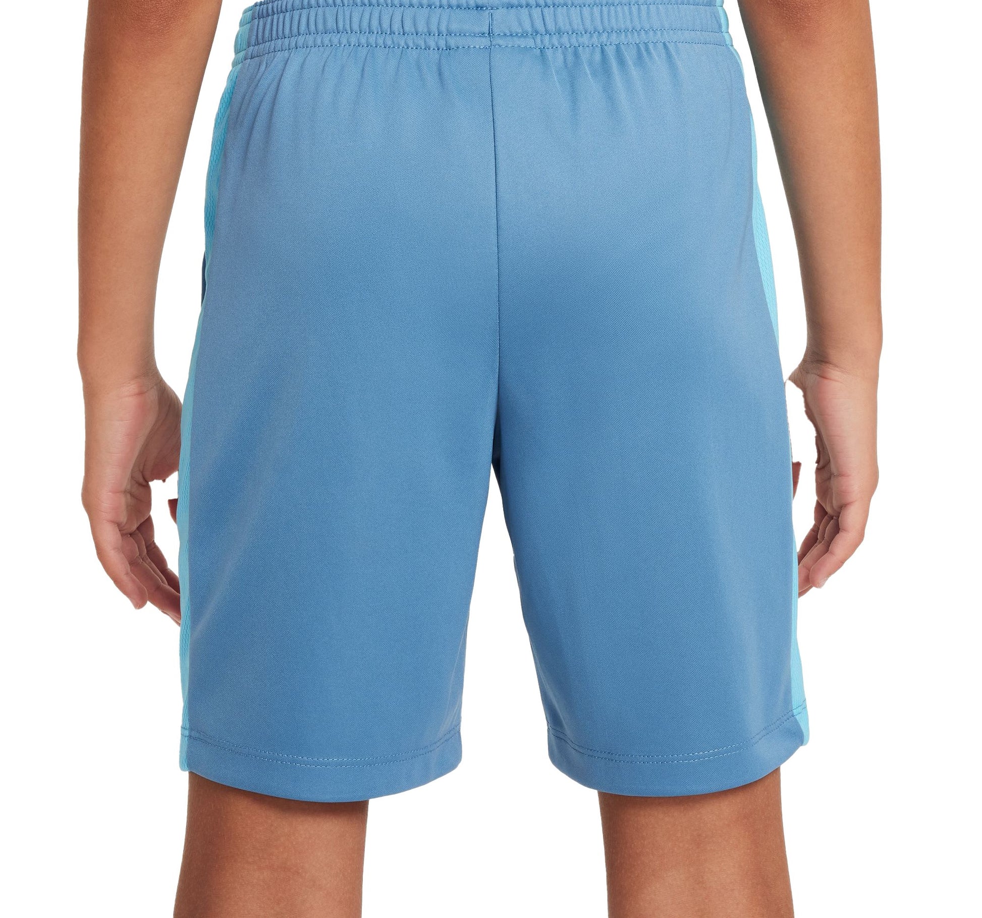 Dri-FIT Academy 23 shorts