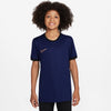 Academy 25 Dri-Fit T-shirt fra Nike
