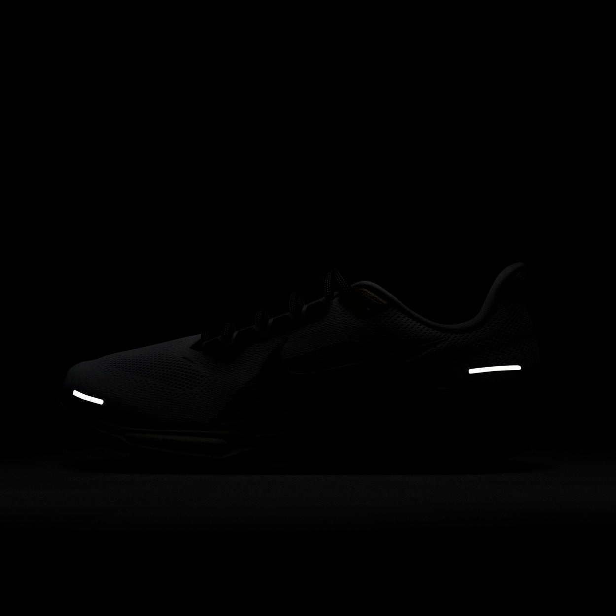 Pegasus 41 Prem Løbesko