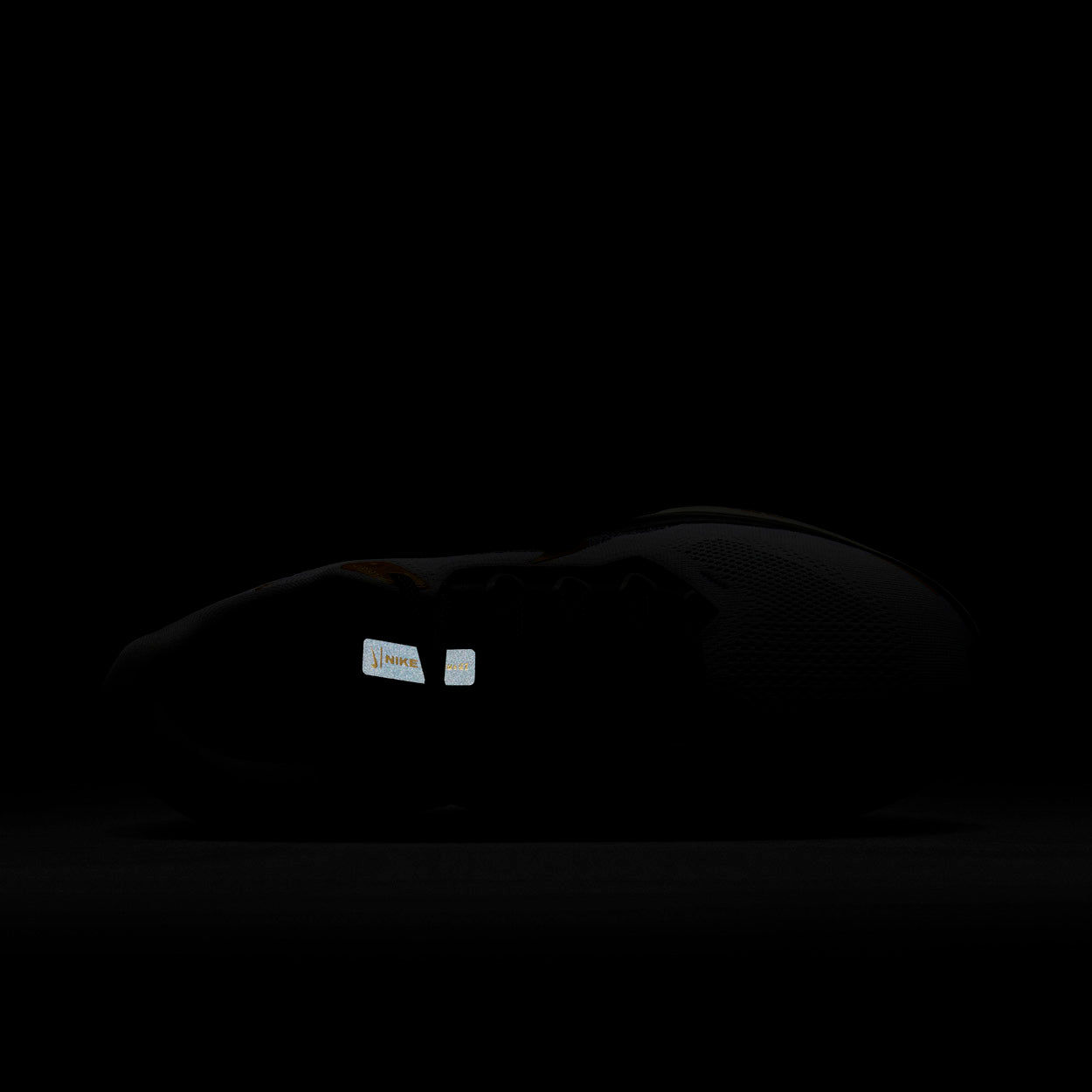 Pegasus 41 Prem Løbesko