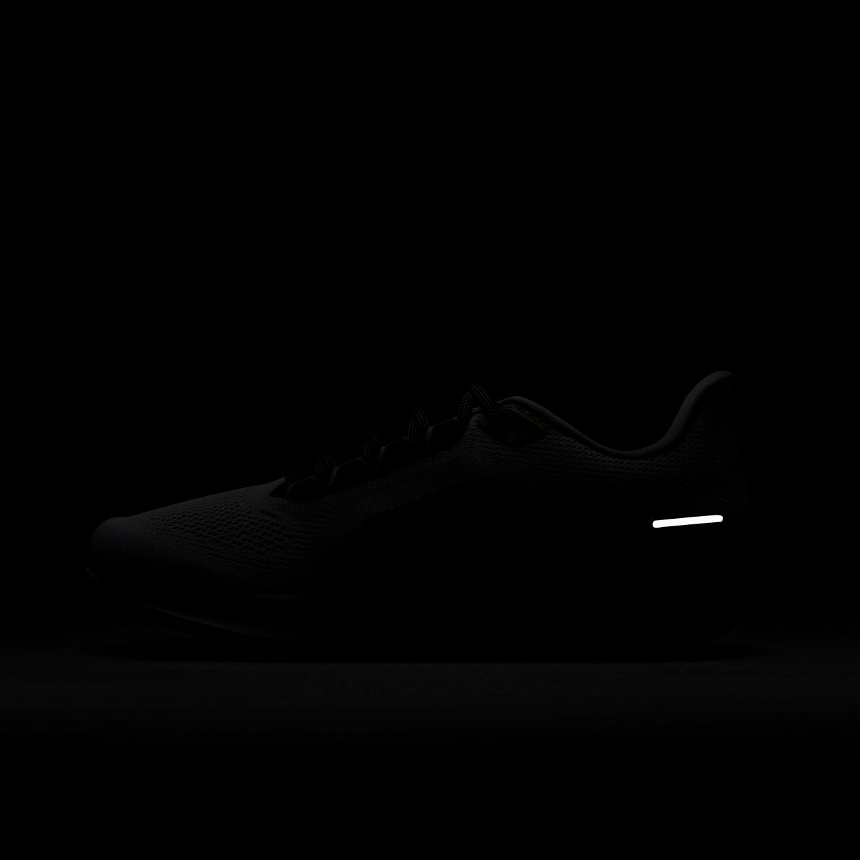 Pegasus 41 Prem Løbesko