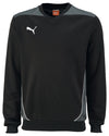 Foundation Training Sweatshirt fra Puma