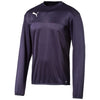 Esquadra Sweatshirt fra Puma