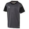 FTB Training T-shirt fra Puma
