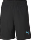 ftblNXT Shorts fra Puma