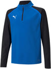 Teamliga 1/4 zip trøje fra Puma