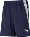 Teamliga Training shorts fra Puma