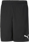 Teamrise Training Shorts fra Puma
