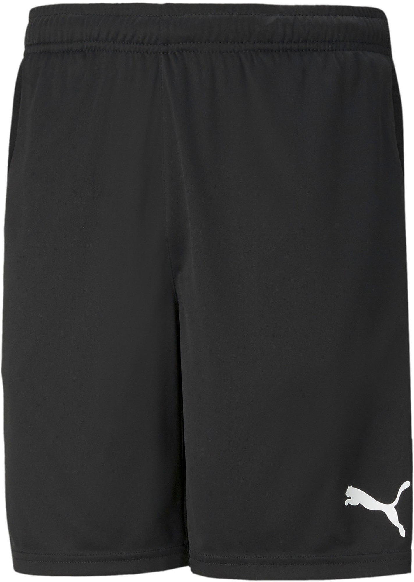 Teamrise Training Shorts